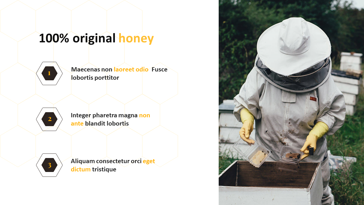 Honey Farming PowerPoint Template PPT